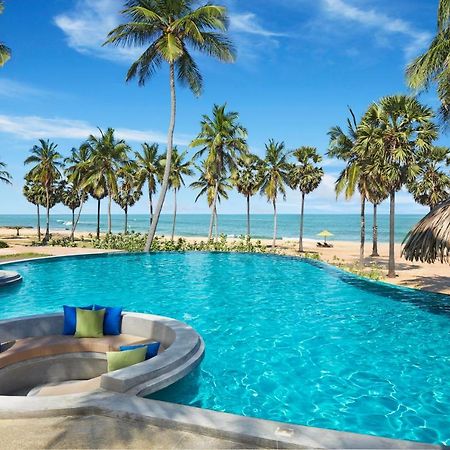Jetwing Surf & Safari, A Luxury Reserve Arugam Bay Eksteriør billede