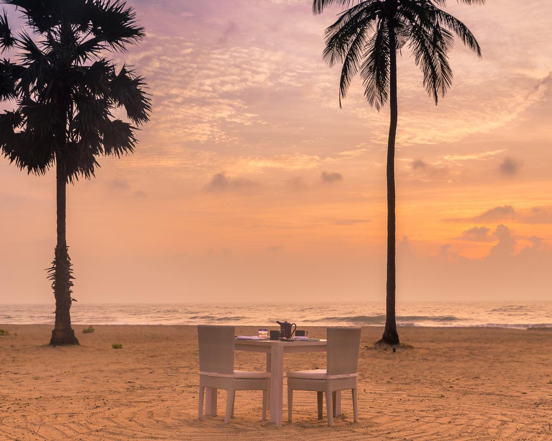 Jetwing Surf & Safari, A Luxury Reserve Arugam Bay Eksteriør billede